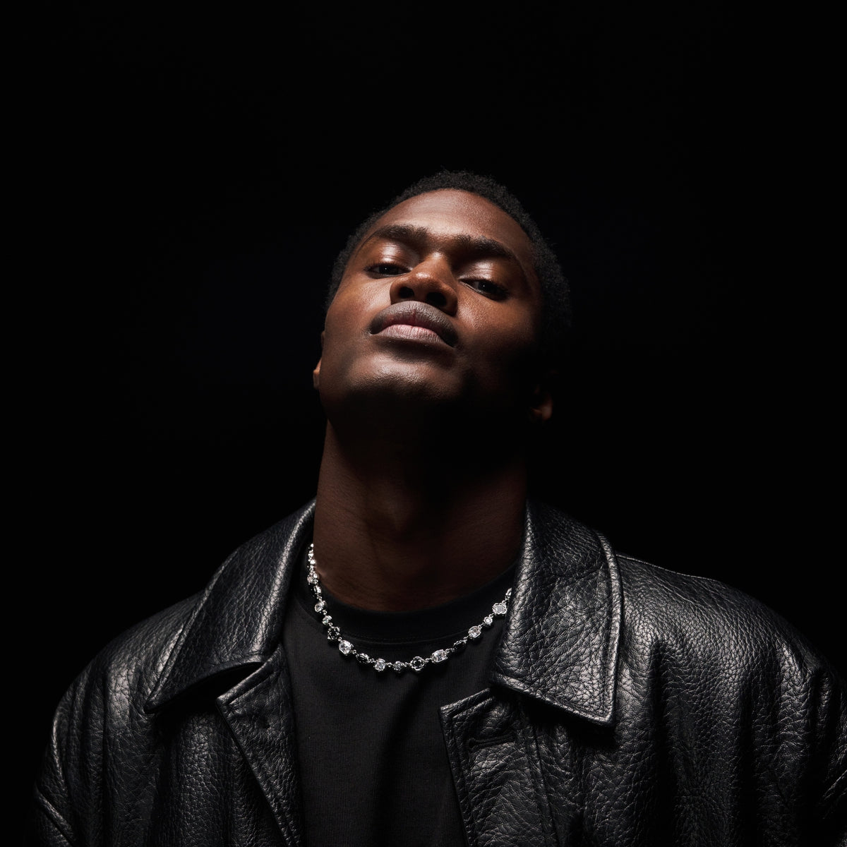 Melted Onyx Gemstone Necklace (Silver)